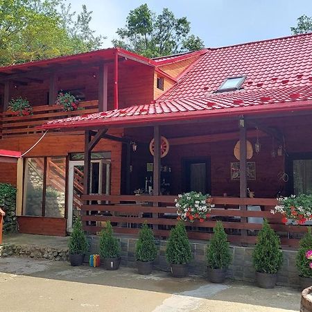 Cabana Alpha Baia Mare Dış mekan fotoğraf