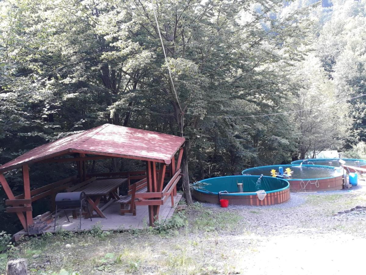 Cabana Alpha Baia Mare Dış mekan fotoğraf