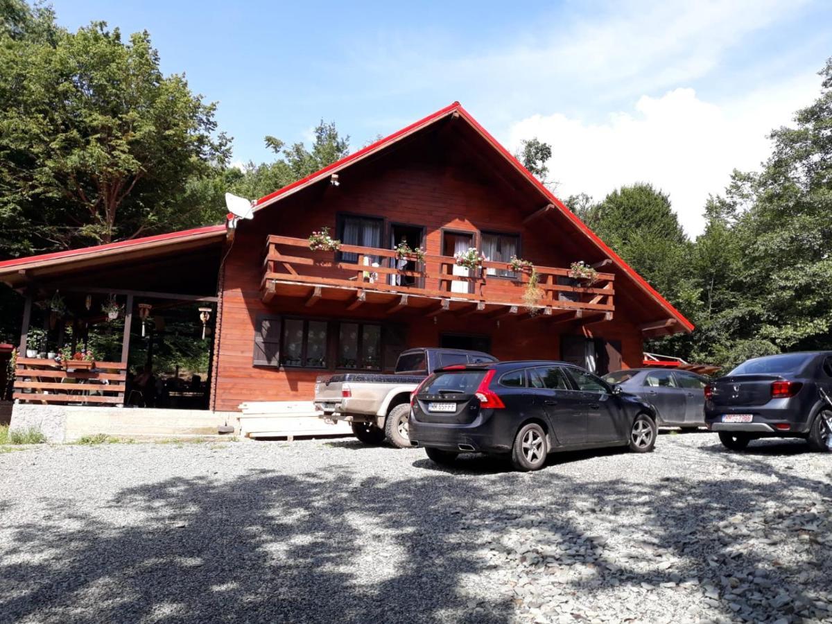 Cabana Alpha Baia Mare Dış mekan fotoğraf