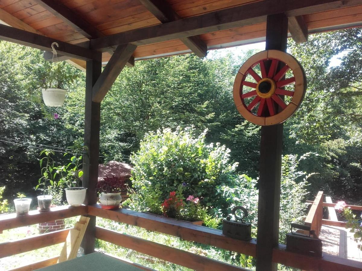 Cabana Alpha Baia Mare Dış mekan fotoğraf