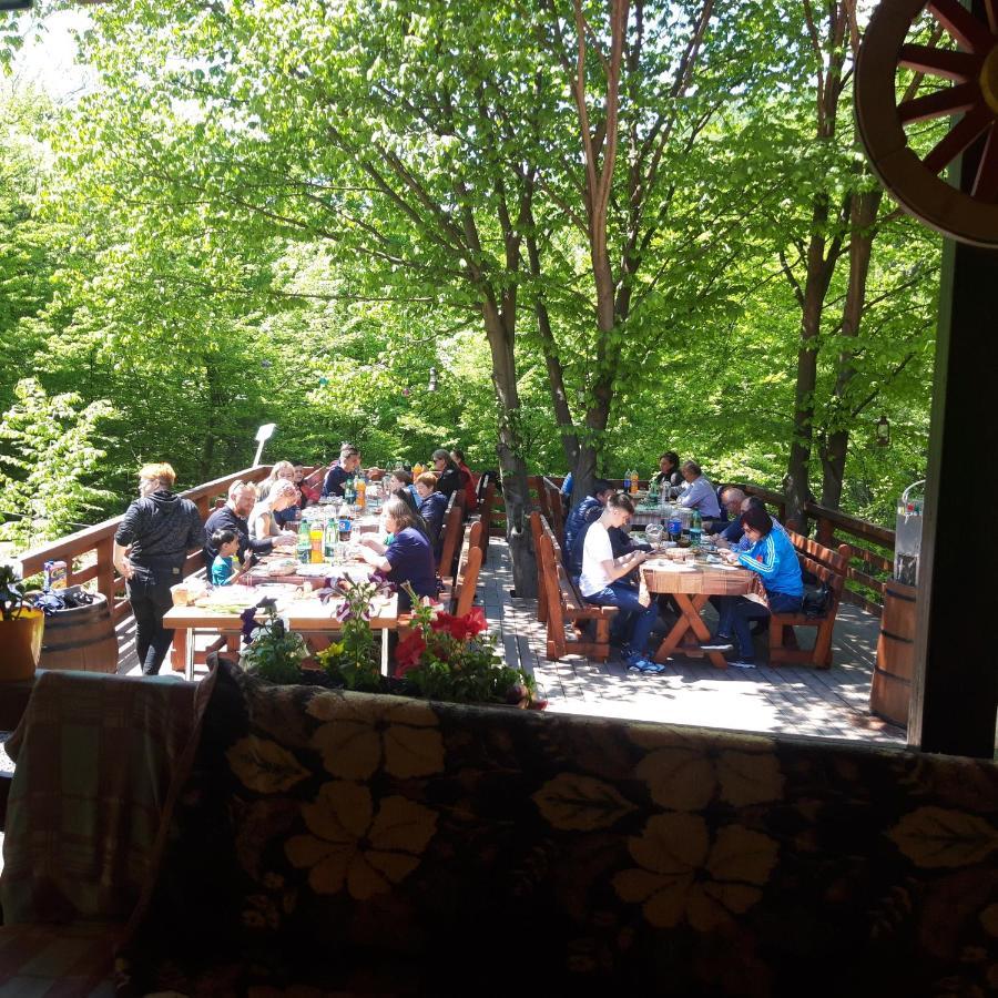 Cabana Alpha Baia Mare Dış mekan fotoğraf