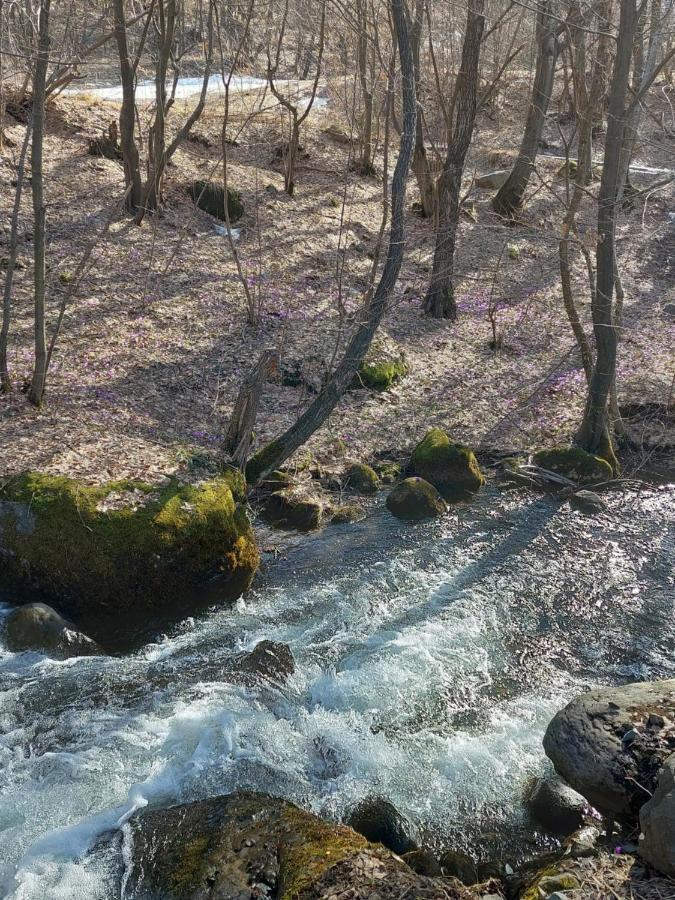Cabana Alpha Baia Mare Dış mekan fotoğraf