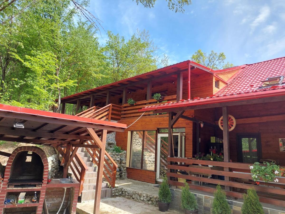 Cabana Alpha Baia Mare Dış mekan fotoğraf