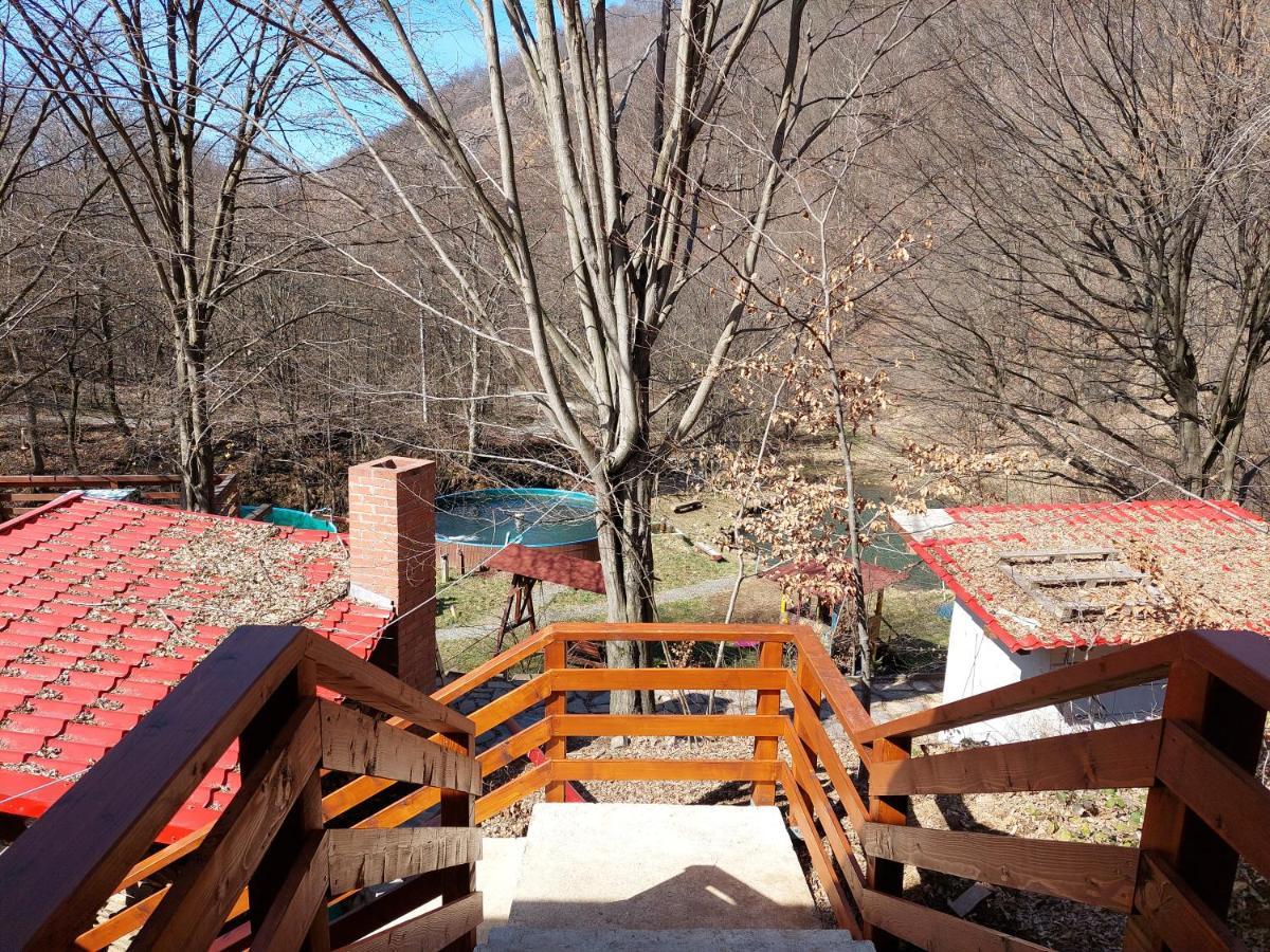 Cabana Alpha Baia Mare Dış mekan fotoğraf