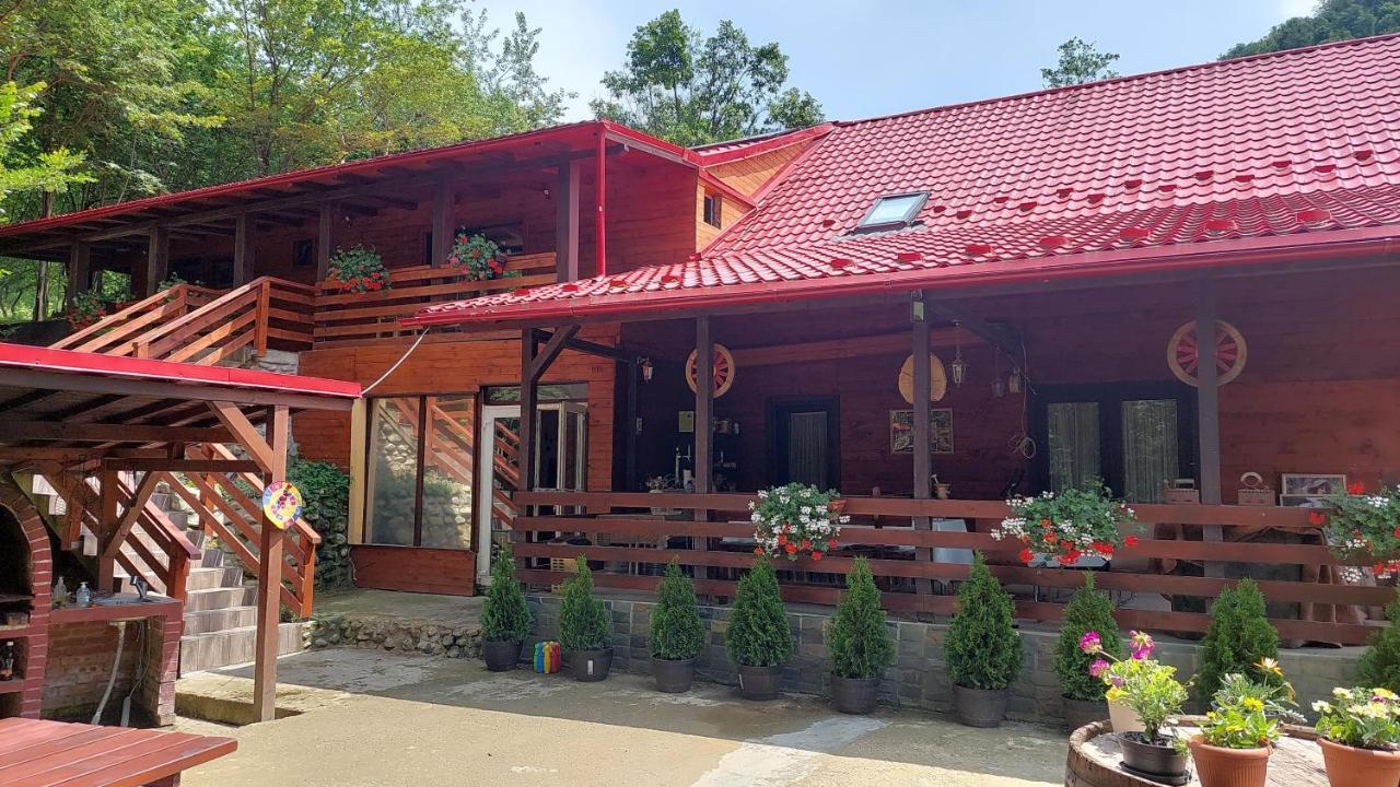 Cabana Alpha Baia Mare Dış mekan fotoğraf