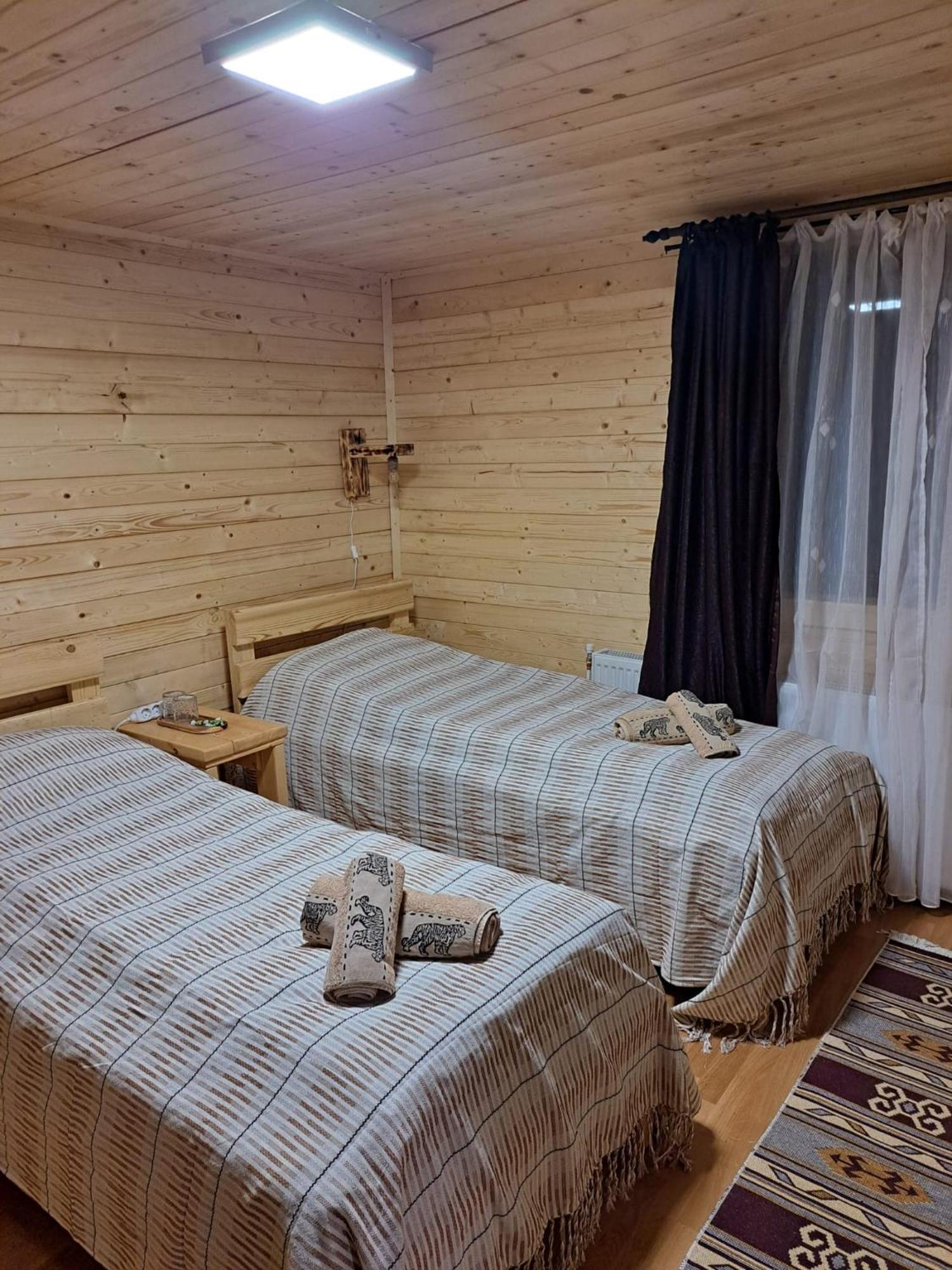 Cabana Alpha Baia Mare Dış mekan fotoğraf