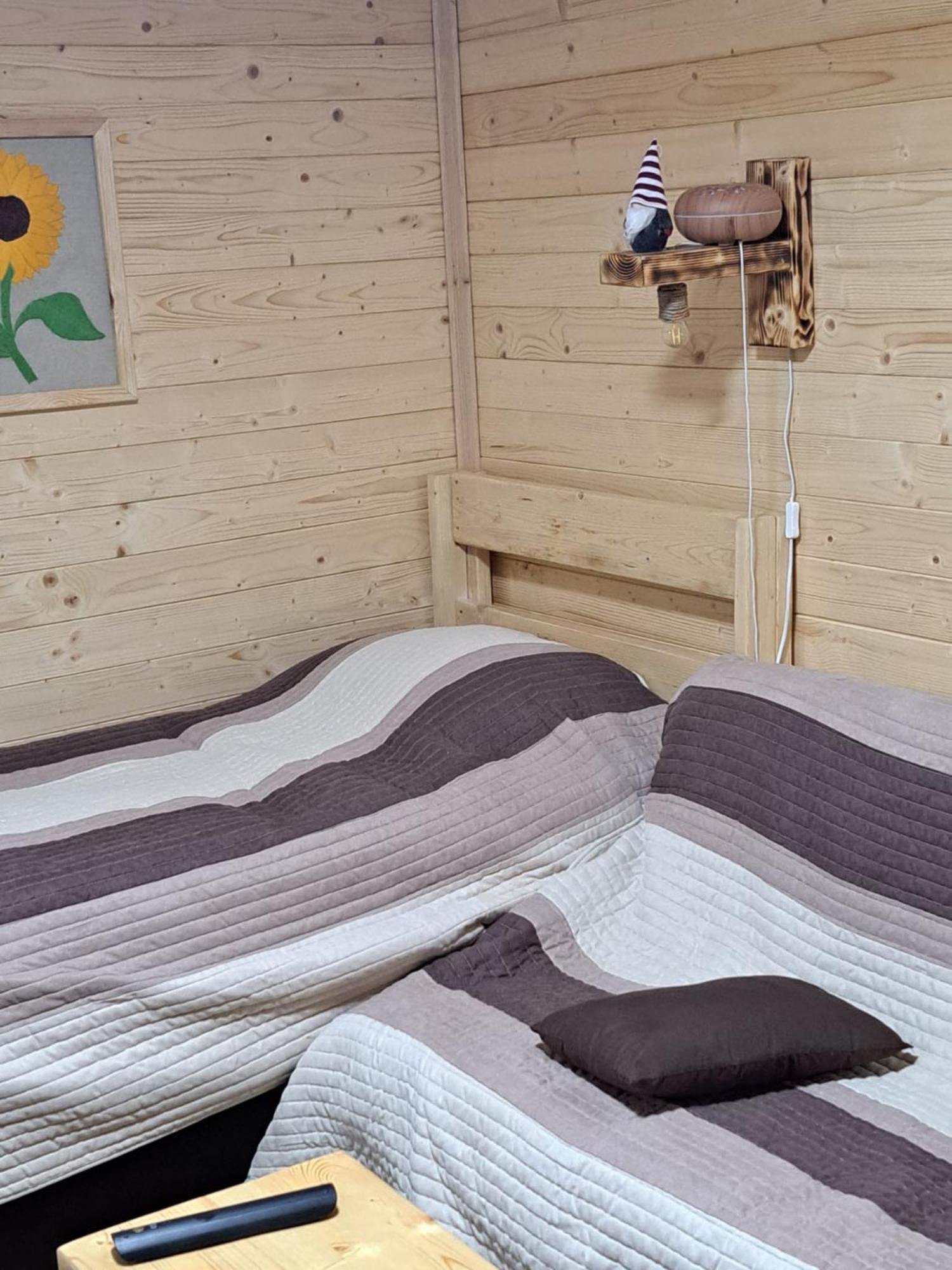 Cabana Alpha Baia Mare Dış mekan fotoğraf