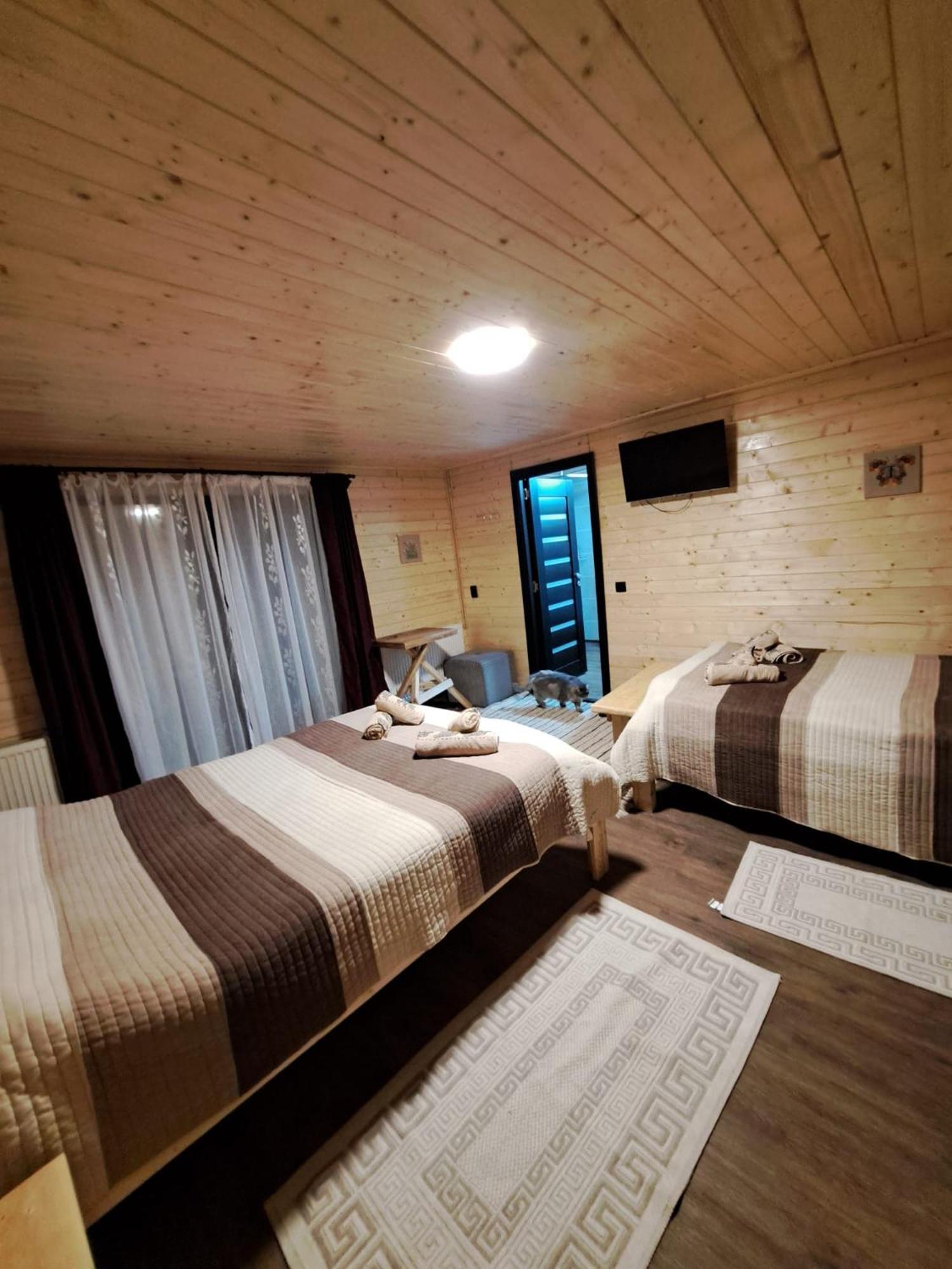 Cabana Alpha Baia Mare Dış mekan fotoğraf