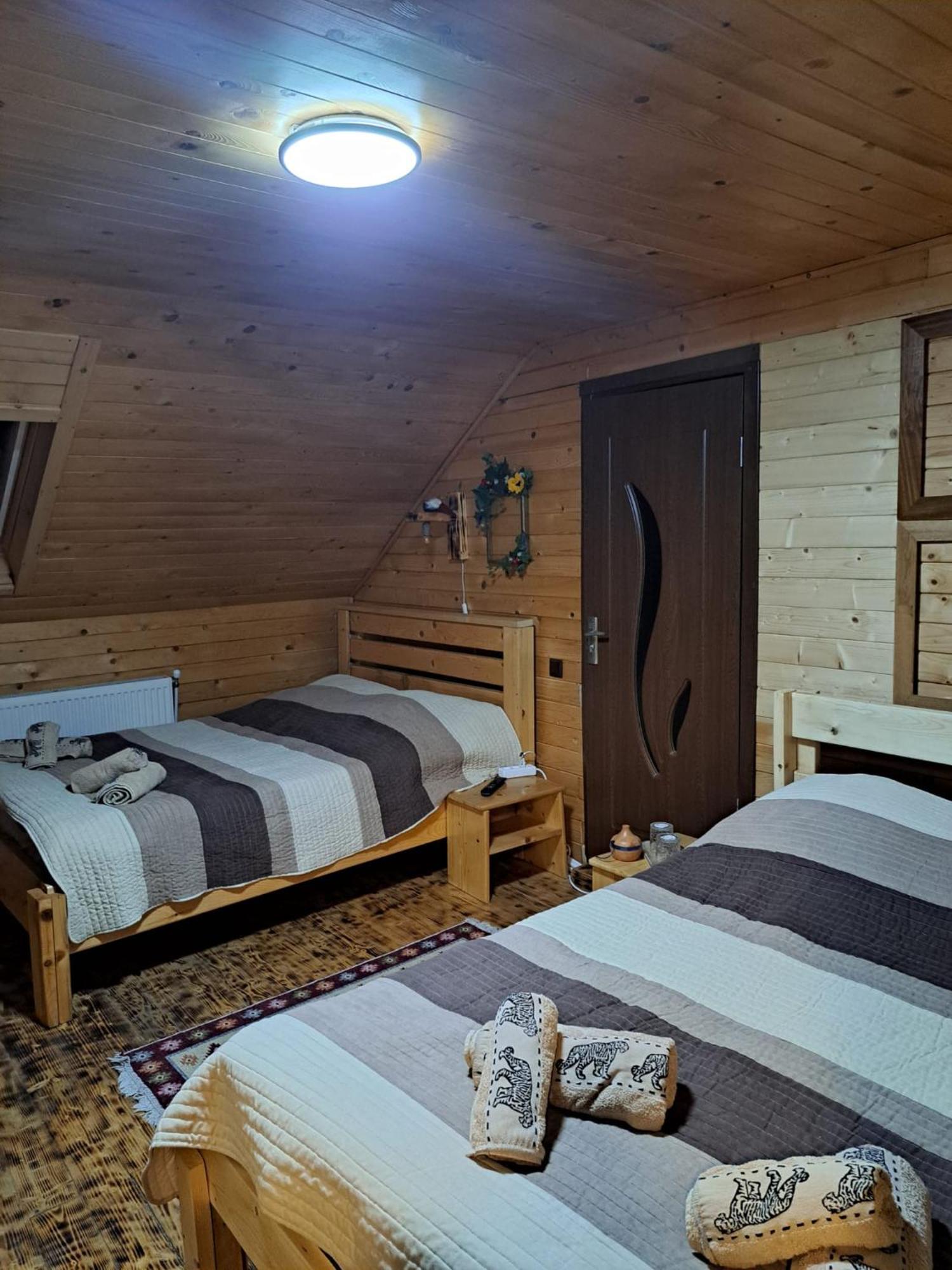 Cabana Alpha Baia Mare Dış mekan fotoğraf