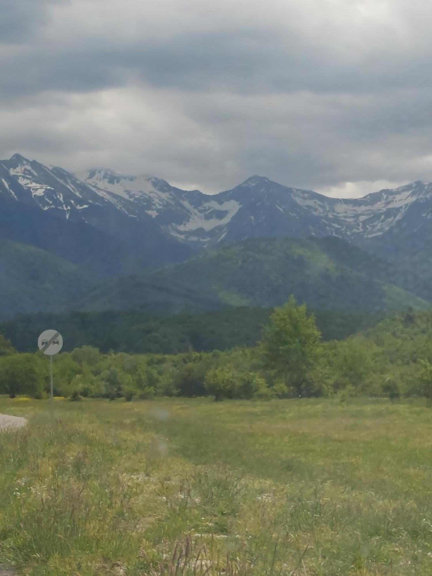 Cabana Alpha Baia Mare Dış mekan fotoğraf